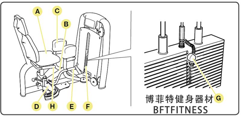 大腿外展外侧肌花季视频传媒