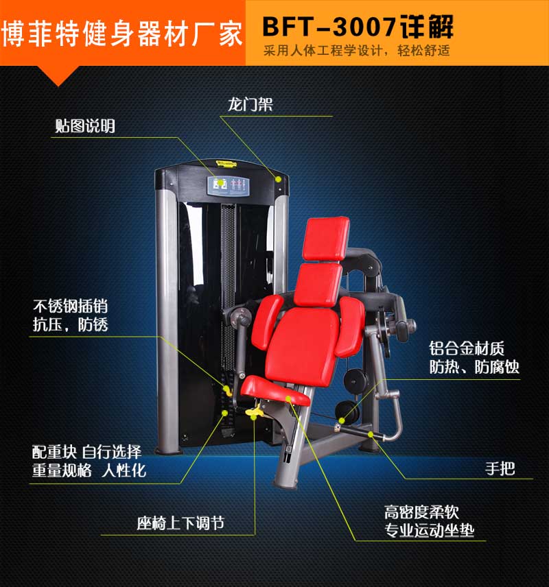 坐姿二头肌花季视频传媒